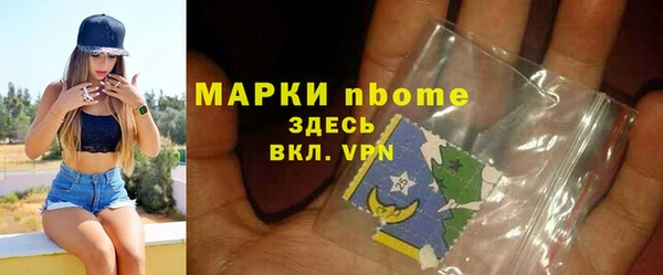 индика Бугульма