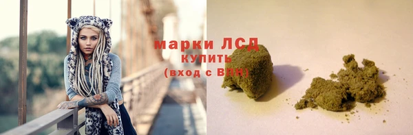индика Бугульма