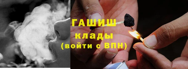 индика Бугульма