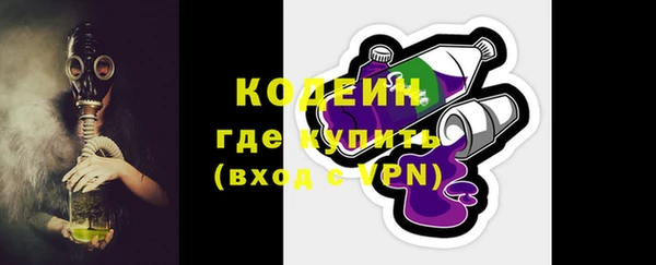 индика Бугульма