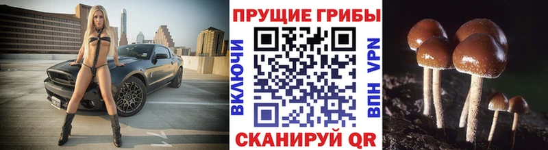 Галлюциногенные грибы MAGIC MUSHROOMS  Купить где  Новоуральск 