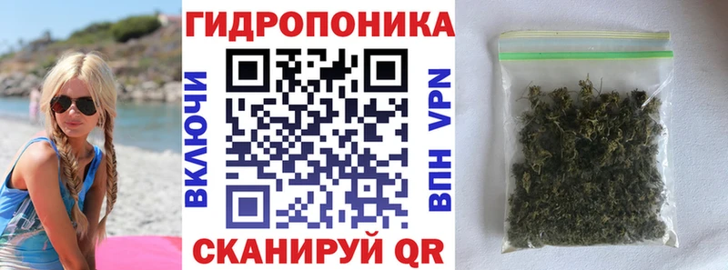 Марихуана сатива  Купить закладки  Новоуральск 